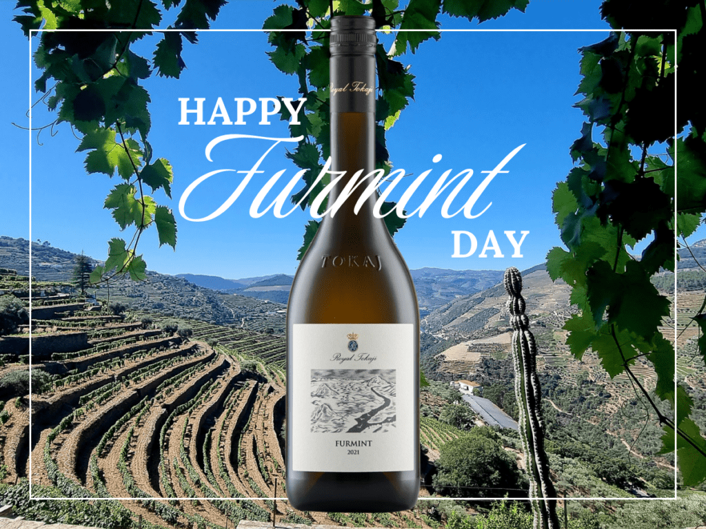 Furmint Day